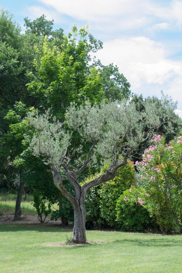 Le Bouquet De L Aromate Bed & Breakfast Joucas Exterior photo